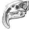 Thylacosmilus atrox